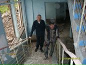 Фотография Белки Микро