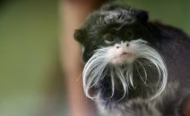 Фотография Жукова Анастасия