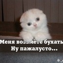 Сергій Бик фотография #21 (источник - https://vk.com/id159506350)