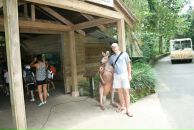 Фотография Костырева Сергея