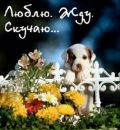 Андрій Бостан фотография #29 (источник - https://vk.com/id129537322)