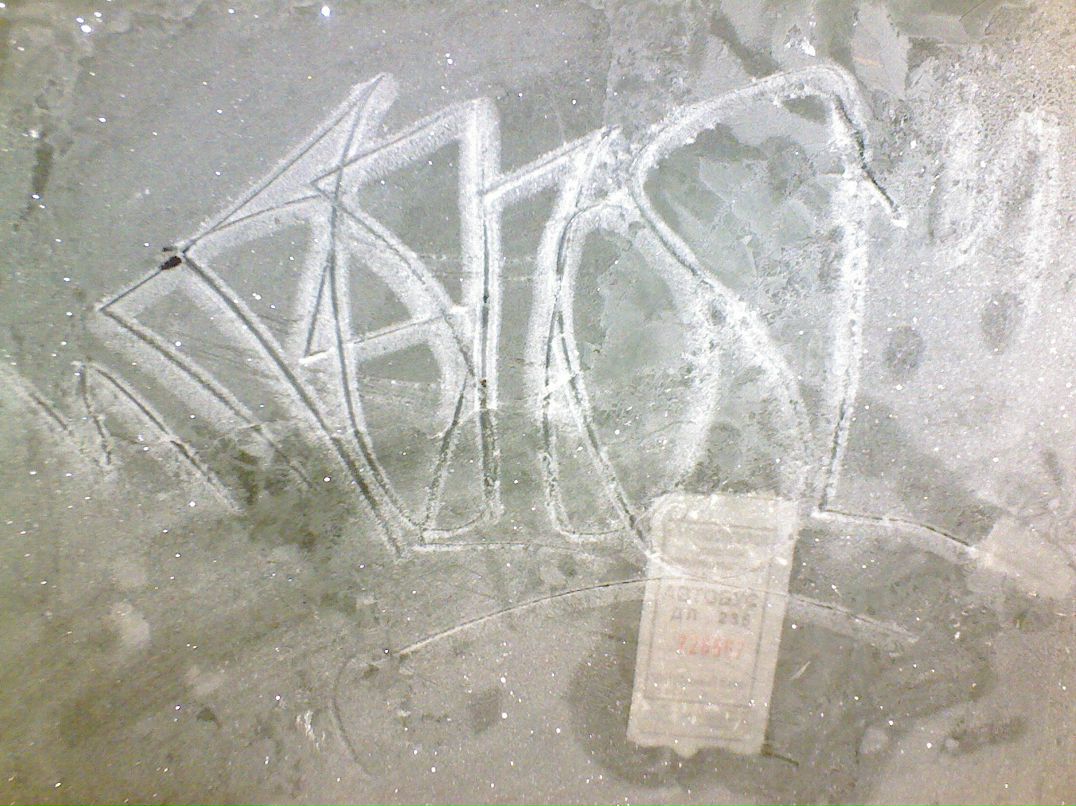 Сергей Черепанов фотография #1