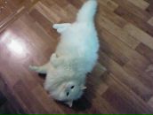 Фотография Гарифуллиной Ландыш