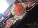 Вікуся Сівченко фотография #7 (источник - https://vk.com/id169072749)