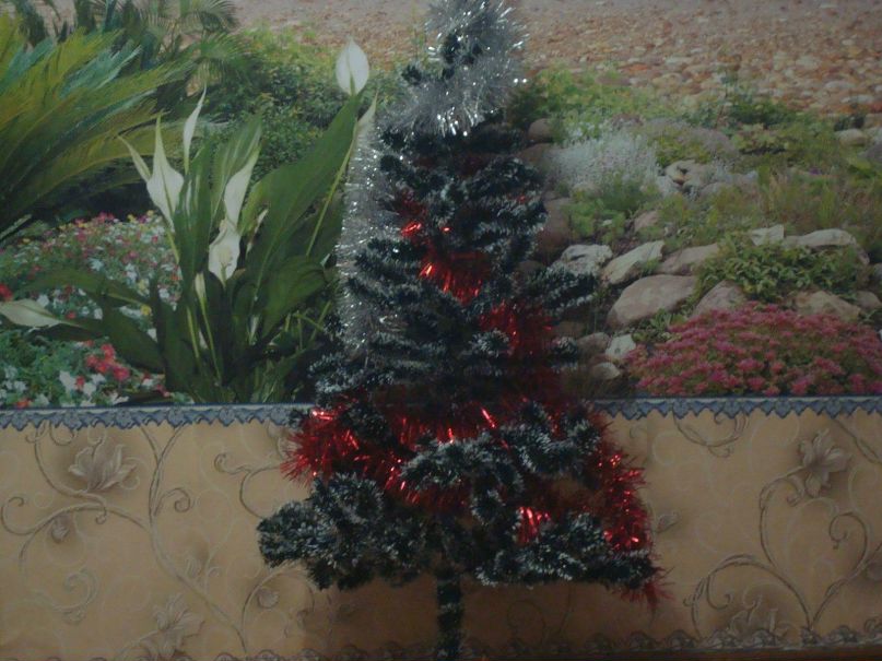 Дима Бутусов фотография #2