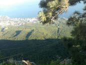 Дмитрий Брагин фотография #22 (источник - https://vk.com/id16422932)