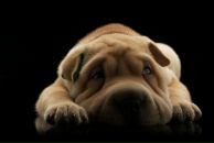 Фотография Максимовой Ирины