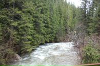 Євгеній Мазепа фотография #33 (источник - https://vk.com/id14914641)