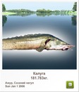 Иван Бабинец фотография #35 (источник - https://vk.com/id120069385)