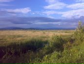 Томаш-іштван Кіш фотография #35 (источник - https://vk.com/id73210432)