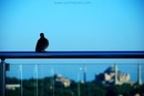 Ümit Taylan фотография #17 (источник - https://vk.com/id142206589)