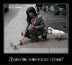 Станислав Яковлев фотография #40 (источник - https://vk.com/id2910677)