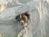 Anuta Hands фотография #16 (источник - https://vk.com/id1373359)