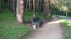 Иван Шапкин фотография #27 (источник - https://vk.com/id768574)