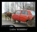 Діма Когут фотография #3 (источник - https://vk.com/id274443500)