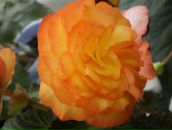 Фотография Измайловой Тины