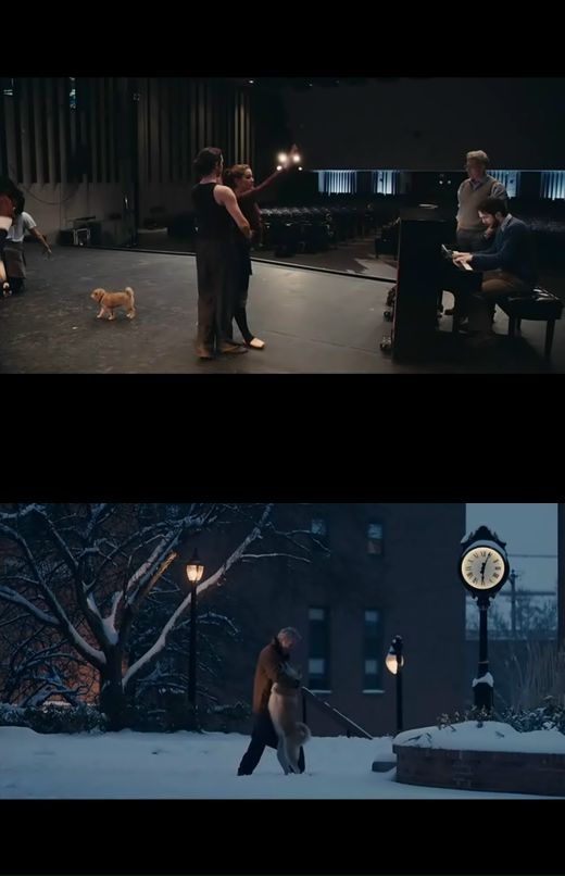 Vova Morrow фотография #46