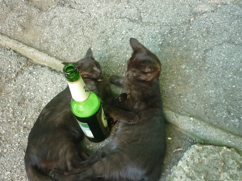 Дмитрий Мук фотография #23