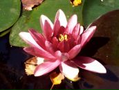 Ігор Солтан фотография #29 (источник - https://vk.com/id63835188)