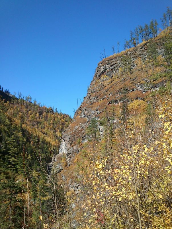 Дмитрий Неруш фотография #44