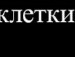Саня Біленький фотография #48 (источник - https://vk.com/id131817824)