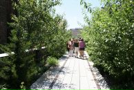 Lana Cr фотография #35 (источник - https://vk.com/id1015047)