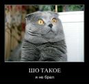 Костя Валуєв фотография #26 (источник - https://vk.com/id136858797)
