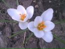 Фотография Силахиной Раисы