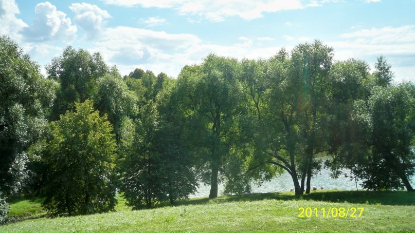 Марина Василенко фотография #19