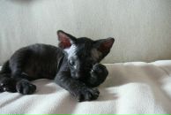 Фотография Солодова Глеба