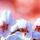 Катерина Ільїна фотография #39 (источник - https://vk.com/id9328914)