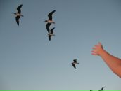 Фотография Шафранской Ларисы