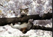 Дмитрий Глазков фотография #48 (источник - https://vk.com/id2090121)