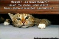 Юрій Солига фотография #44 (источник - https://vk.com/id135905448)