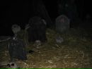 Вадим Лібіченко фотография #46 (источник - https://vk.com/id17371753)