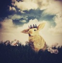 Фотография Алфёровой Анны