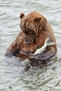 Фотография Сбоева Михаила