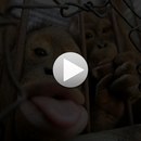 Ігор Совсунець фотография #15 (источник - https://vk.com/id159988693)