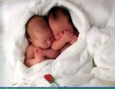 Фотография Шлопко Дарьи