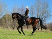 Фотография Корнеевой Кати