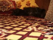 Дюрі Масяк фотография #13 (источник - https://vk.com/id19779231)