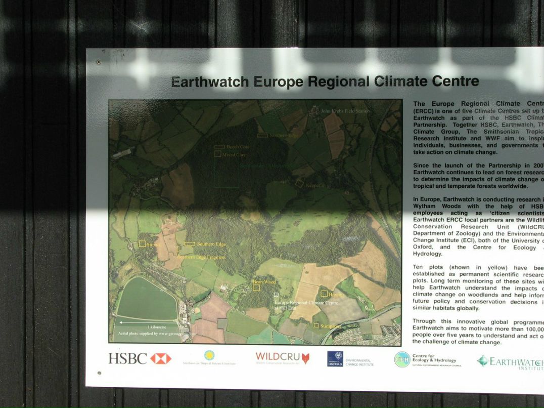 Ромул Рем фотография #13