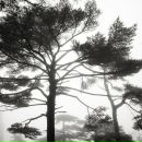 Nn Nn фотография #24 (источник - https://vk.com/id2185581)