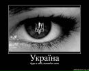 Сергей Ковалев фотография #12 (источник - https://vk.com/id18239607)