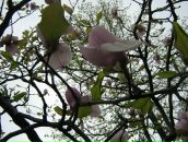 Юлія Парфеса фотография #41 (источник - https://vk.com/id6576639)