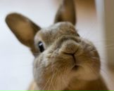 Ольга Го фотография #5 (источник - https://vk.com/id7359240)