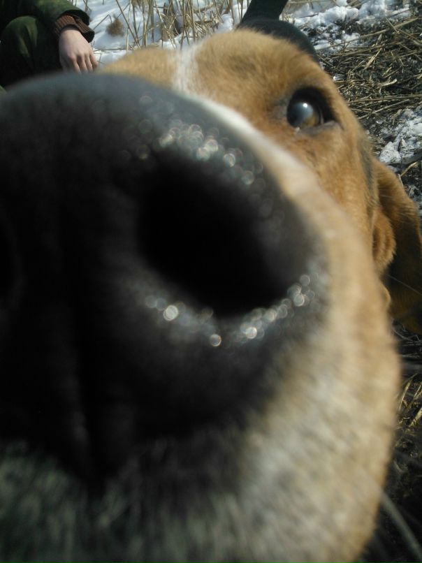 Евгений Пушилин фотография #46