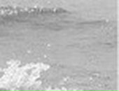 Марішта Боровська фотография #48 (источник - https://vk.com/id123799628)