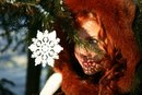 Фотография Кравчук Ирины
