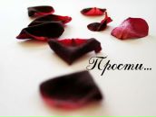 Фотография Крюченковой Анечки